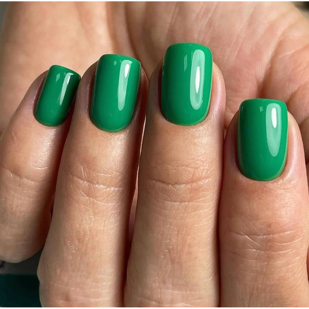Amazon.com : modelones Gel Nail Polish, 1 Pcs 15ML Emerald Dark Green Color Gel  Polish Soak Off LED Nail Polish Gel Professional Salon Manicure Home DIY,  0.5 Fl Ounce : Beauty & Personal Care